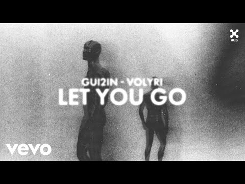 GUI2IN, Volyri - Let You Go (Audio)
