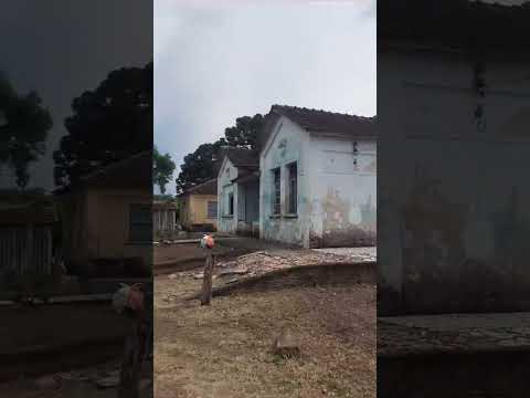 Estação Ferroviária de Paulo Frontin Paraná RVPSC #shortsvideo #shrots #trens #trensbrasil