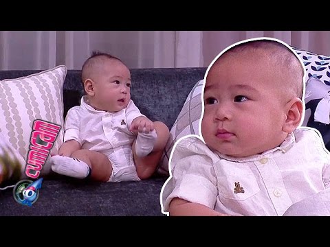 Ini Dia Aksi Rafathar di Depan Kamera - Cumicam 11 Februari 2016
