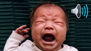 Download lagu Baby Crying Sound Effect [1 Hour] Loud Cry mp3