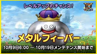 【ドラクエ10】次の職業が盗賊に決まったのでメタルフィーバーでレベル上げ！！その他諸々#22【初見さん歓迎】