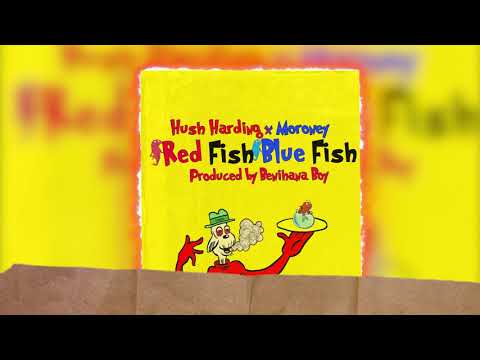 Hush Harding x Moroney - Red Fish Blue Fish (Visualizer)