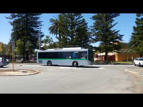 Transperth Mercedes-Benz OC500LE (Volgren CR228L) TP0117 Arrives @ Fremantle Station