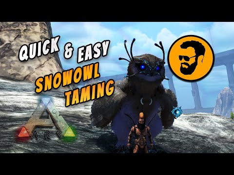 Quick and Easy Snow Owl Taming