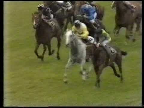 1981 King's Stand Stakes