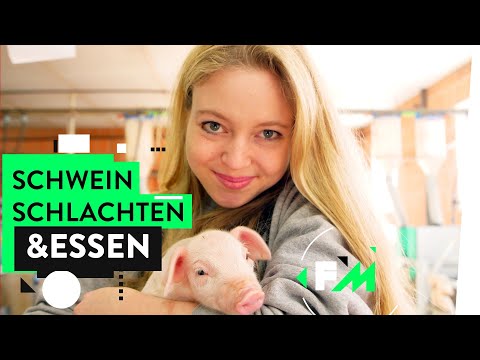 Tiere töten & essen - Hannah im Schlachthof