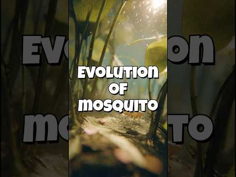 From Tiny Insects to Modern Mosquitoes 🦟