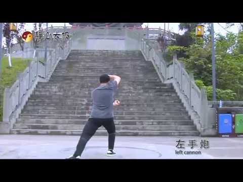 Tai Chi Form 21 by Master Ren Guangyi
