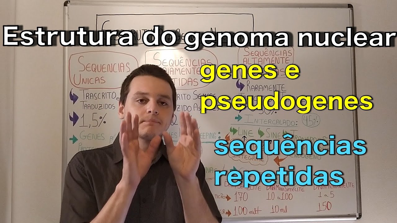 Estrutura do genoma nuclear | Curso de genética | Medicina passo a passo