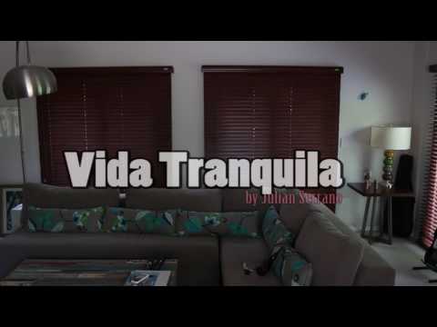 VIDA TRANQUILA julian serrano ft oriana sabatini