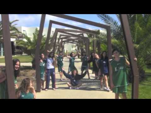 Basket tara (L) Cumple alba