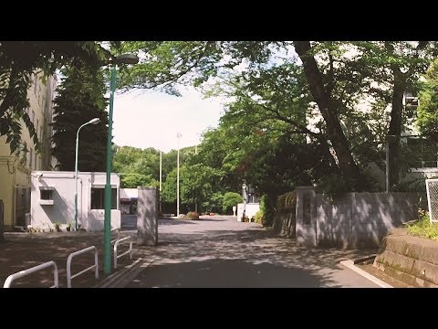 武道学科 【国士舘大学】大学案内ＷＥＢ版　キャンパスまでの行き方　町田編 from「鶴川」