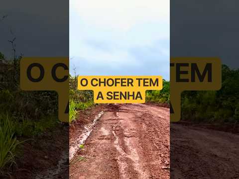 Além do volante: motorista revela talento inacreditável
