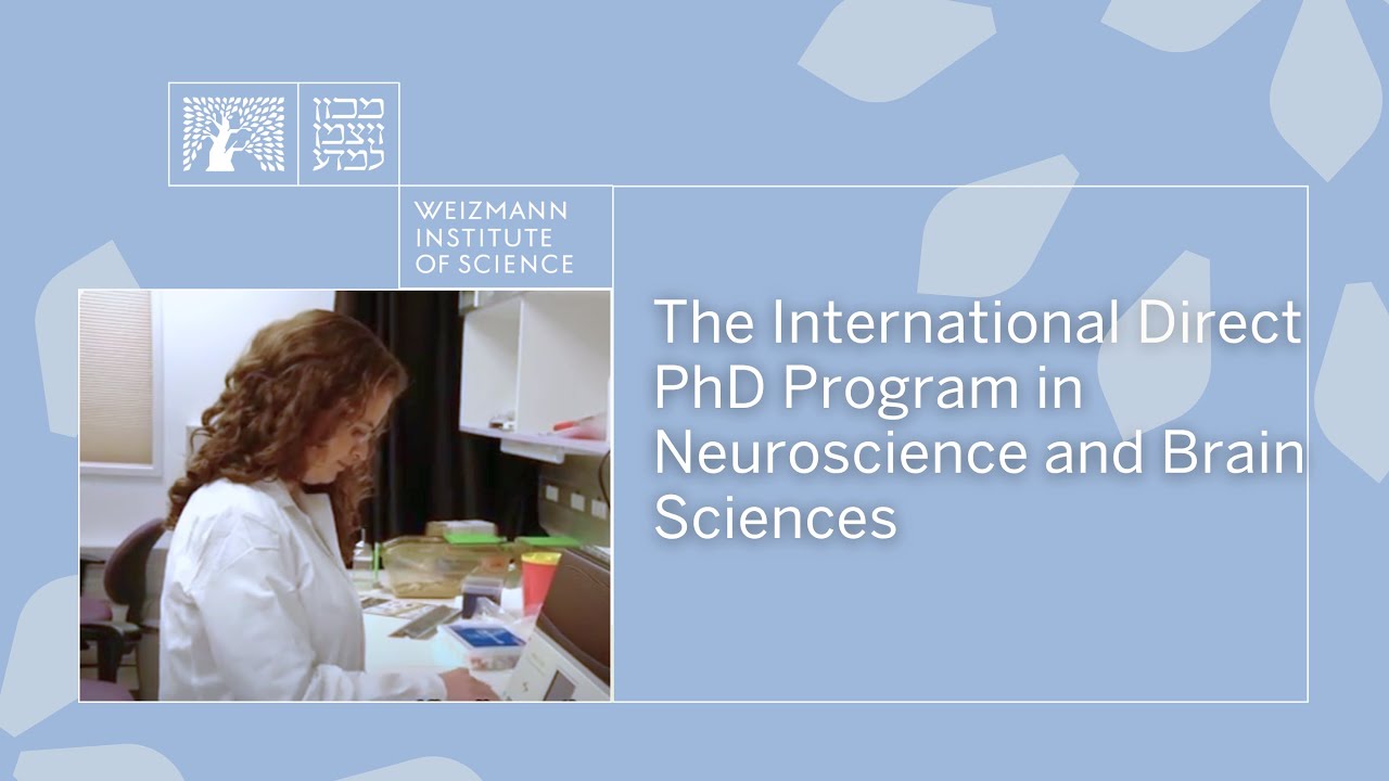 The international direct PhD program in Neuroscience and Brain Sciences