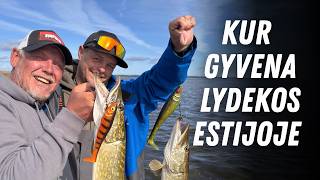Lydekos  naujais Rapala 2027 masalais su Pauliumi Korsaku | Vienam gale kablys | 4K