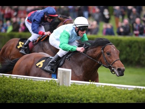 Krefeld: Rennen um den Preis des Umsorgers (D) - Siegerin: Silver Sea