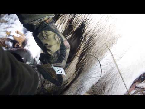 YouTube video about: Can you use walkie talkies while hunting in colorado?