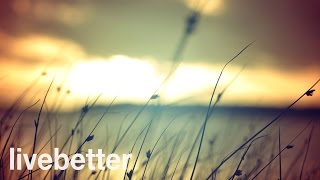 Download lagu Best Classical Music: The Most RELAXING Classical Music mp3 Download lagu Best Classical Music: The Most RELAXING Classical Music mp3