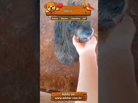 Vídeo de Dieize