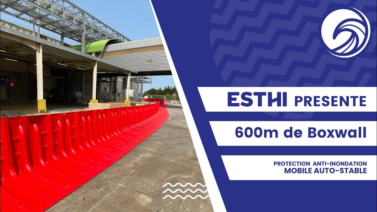 ESTHI 600ml Boxwall + Dam Easy
