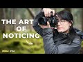 The Art of Noticing - Woodland Photography with a Nikon D750