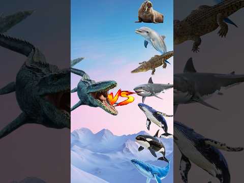 The Mosasaurus 🆚 All the Sea 🌊 creatures