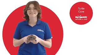 Ultimate Guide to Aquatic Turtle Care: Health and Happiness Tips