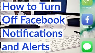 How to Turn Off Facebook Notifications and Alerts in 2022 - Desktop