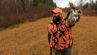 THE TRAPLINE: Grouse Hunting on the Trapline: EP 9
