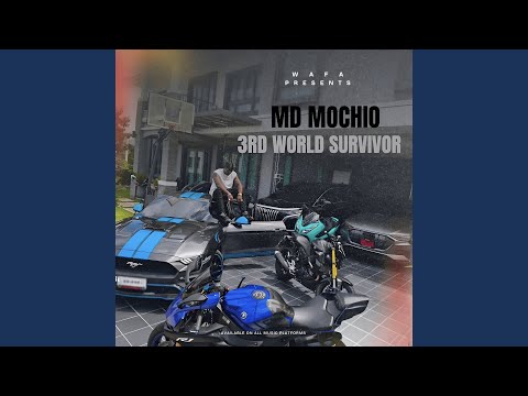 3rd World Survivor