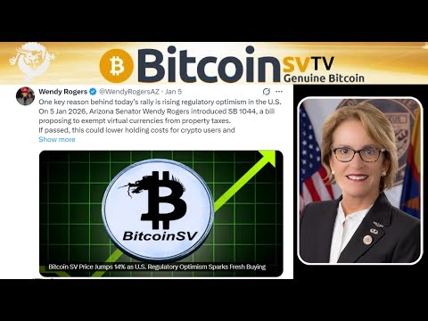 News: Wendy Rogers (U.S Senator) Focuses In On BSV