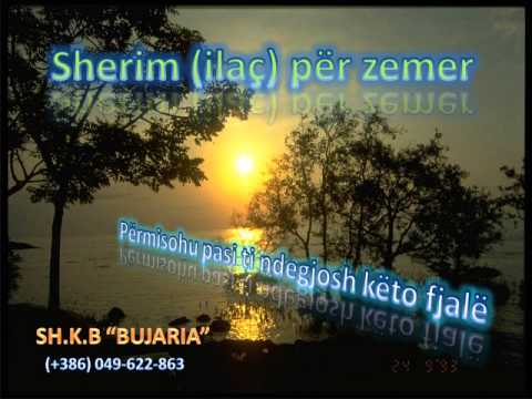 xhihadi Shukri Aliu fjal te shtrenjta (qfar pret o musliman)