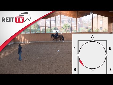 Reiten lernen: Bahnfiguren - Zirkel richtig reiten