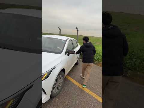 ياهي احلا سياره