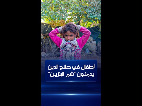 شاهد بالفيديو.. أطفال في صلاح الدين يدمنون 