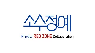 Cover art for RED ZONE