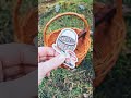 Velkolepka - les