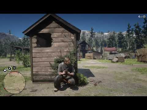 On behalf of the O'Driscolls...