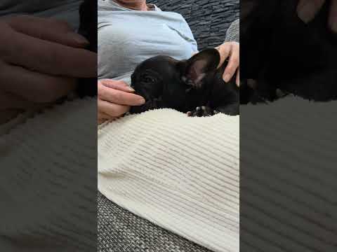 Video 1