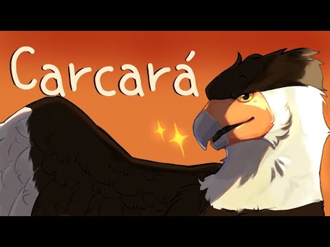Carcará - Animação ( Rascunho )