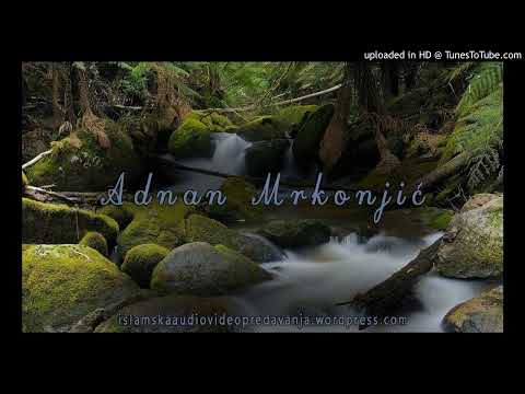 Govor o Allahu bez znanja Kakve su opasnosti   hfz  Adnan Mrkonjic