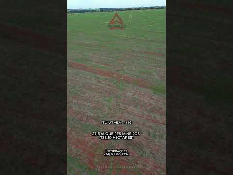 Terra de cultura bem localizada dupla aptidão em Ituiutaba MG