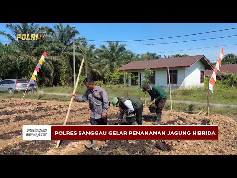 PRESISI UPDATE : POLRES SANGGAU PENANAMAN SERENTAK JAGUNG HIBRIDA 25/05/2025 (15.00)