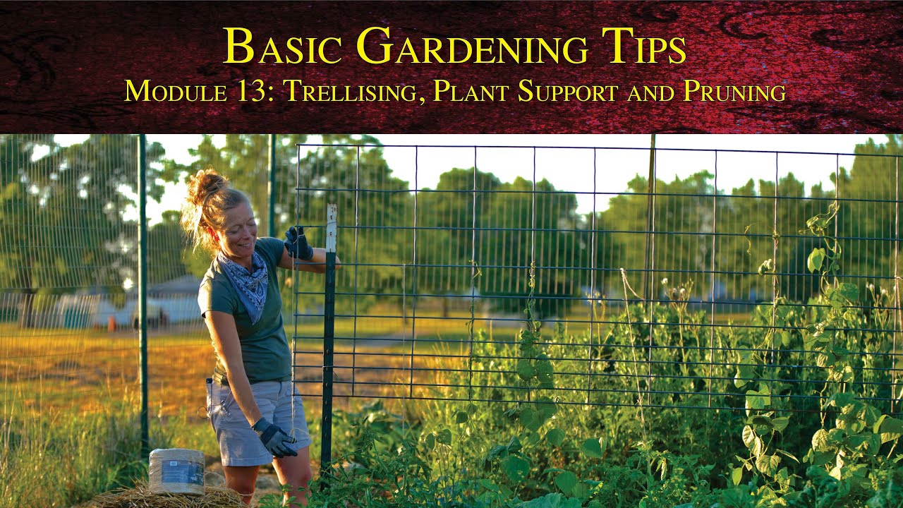 Basic Gardening Tips - Module 13: Trellising, Plant Support and Pruning
