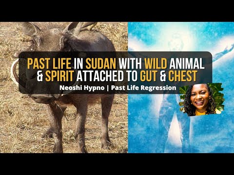 205 Neoshi Hypno - Past life in Sudan & Spirit Attached to Gut, Heart | Past Life Regression