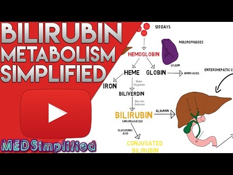 bilirubin és erekció
