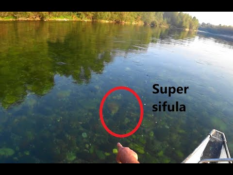 Avventura sul fiume azzurro