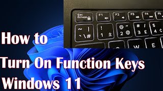Enable Or Disable Function Keys In Windows 11 - How To