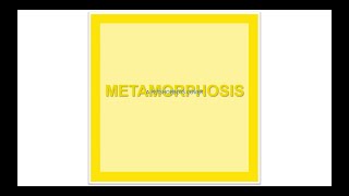 Cover version: Pet Shop Boys - Metamorphosis