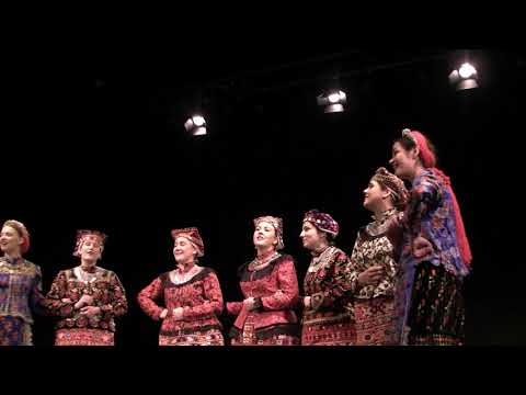 Ženski vokalni ansambl "ZWIZDE" , Zagreb  :  Ljubila sam četrnaest momaka  / Oj,prekrasna mladosti /